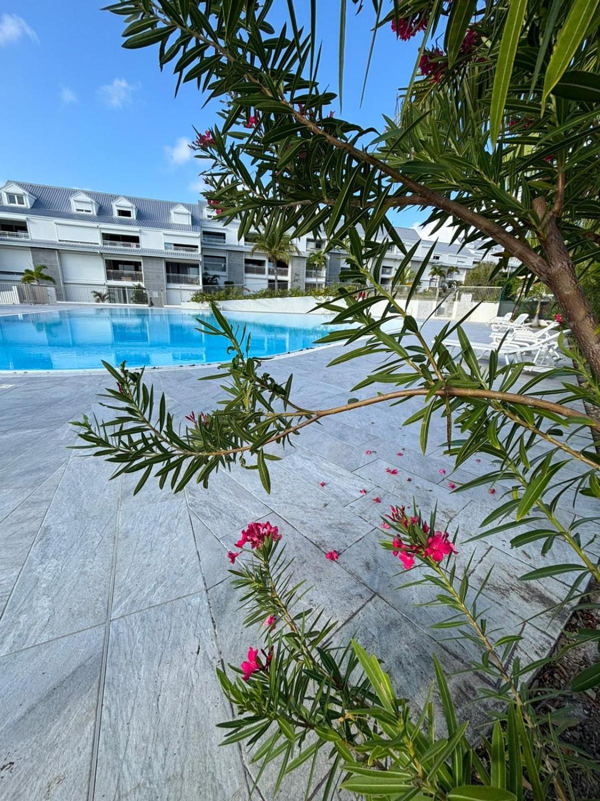 Ferienwohnung Easy Friendly Sxm Cul de Sac Exterior foto
